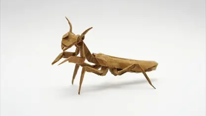 آموزش اوریگامی - حشره mantis آخوندک برای سرگرمی