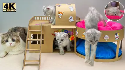 کاردستی با کارتون - خانه جدید برای گربه برای سرگرمی