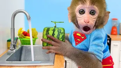 برنامه کودک بچه میمون - خوردن هندوانه مربعی