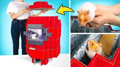 ترفند کاردستی همستر - ساخت خانه 5 طبقه برای سرگرمی