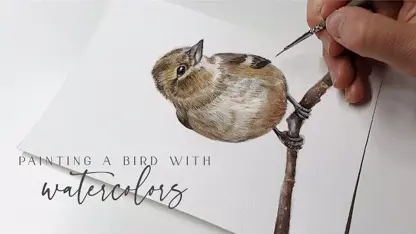 آموزش گام به گام نقاشی با آبرنگ - پرنده زیبا