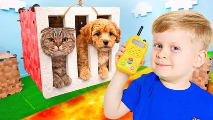 روما این داستان یک توله سگ را نجات میدهد