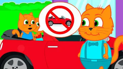 گربه قوانین راهنمایی و رانندگی