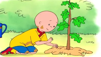 کارتون کایلو این داستان - کاشت یک درخت