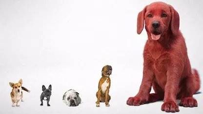 تریلر انیمیشن clifford the big red dog 2021 در ژانر کمدی