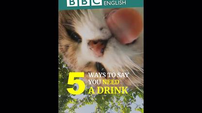5 راه گفتن نیاز به نوشیدنی در زبان انگلیسی که باید بدانید