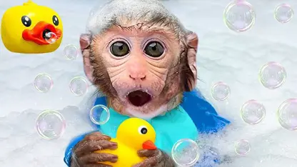 برنامه کودک بچه میمون - در استخر صابون برای سرگرمی