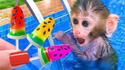 برنامه کودک بچه میمون - خرید بستنی هندوانه برای سرگرمی