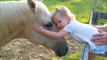 کلیپ کودک و اسب ناز 👶🐴 در چند دقیقه