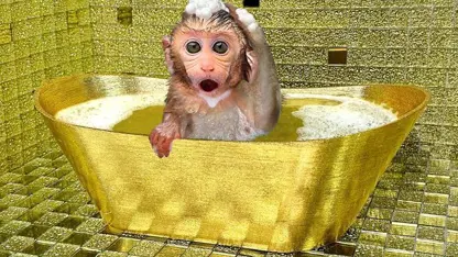 برنامه کودک بچه میمون - حمام کردن در حمام طلا