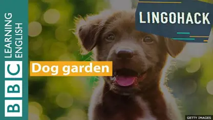 تقویت لیسنینگ زبان انگلیسی با موضوع " باغ سگ ها"