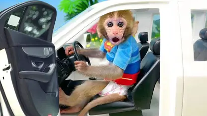 برنامه کودک بچه میمون - ایمنی ترافیک برای سرگرمی