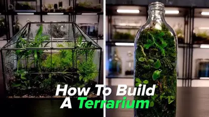 آموزش ترفند - چگونه یک گلخانه زیبا بسازیم