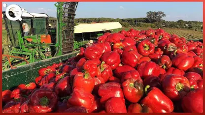 ماشین الات پیشرفته و جدید برای برداشت میوه و سبزیجات