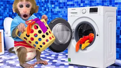 میمون شستن لباس در توالت