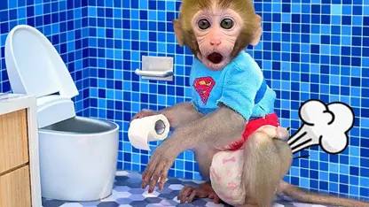 برنامه کودک بچه میمون - توالت را تمیز می کند