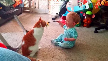 کلیپ خنده دار از بازی بچه ها با گربه در چند دقیقه