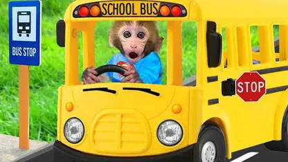 برنامه کودک بچه میمون - اتوبوس مدرسه در یک نگاه