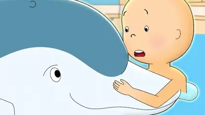کارتون کایلو این داستان - کایلو و دلفین
