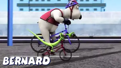 کارتون برنارد این داستان - مسابقه دوچرخه سواری احمقانه