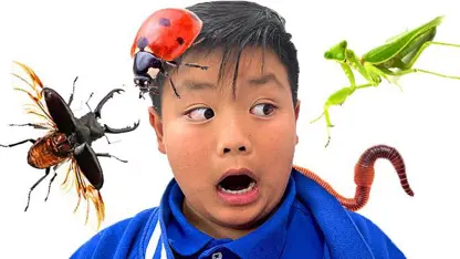 سرگرمی های کودکانه این داستان - آموزش درباره حشرات