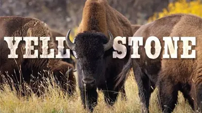 ویدیو دیدنی از پارک طبیعی یلواستون yellowstone
