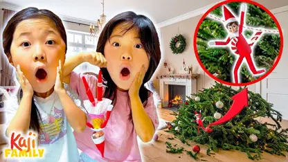 داستان قفسهی اما و کیت