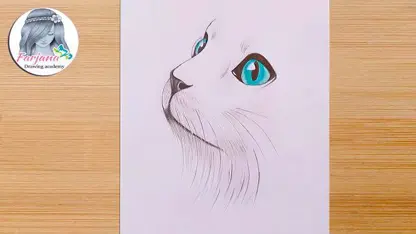 آموزش طراحی با مداد برای مبتدیان - یک صورت گربه ساده
