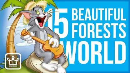 معرفی 15 تا از زیباترین جنگل های جهان