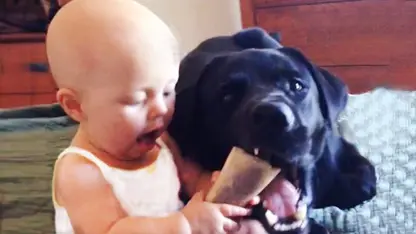 کلیپ خنده دار از کودک و سگ در یک نگاه