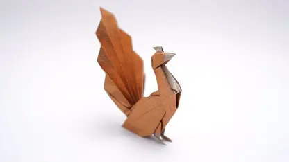 آموزش اوریگامی ساخت - طاووس در یک نگاه