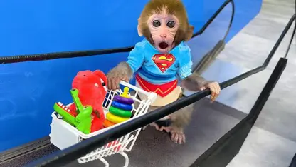 برنامه کودک بچه میمون - سوار بر پله برقی