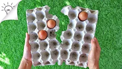 8 ترفند خلاقانه با استفاده از شانه تخم مرغ و خلق وسایل زیبا توسط ان