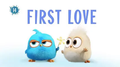 کارتون انگری بردز این داستان "عشق اول"