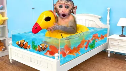 برنامه کودک بچه میمون - تخم مرغ سرخ شده برای سرگرمی
