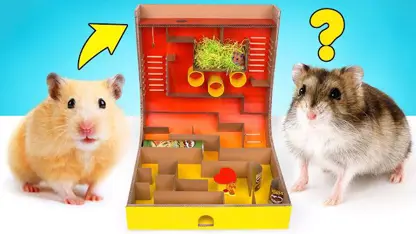 ساخت وسیله بازی برای همستر های خانگی 🐹👑