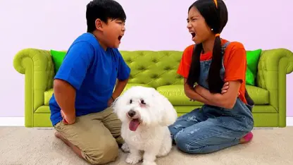 سرگرمی های کودکانه این داستان - سگ و حیوان خانگی