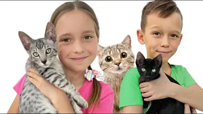 برنامه کودک پرنسس سوفیا این داستان - بازی با بچه گربه ها