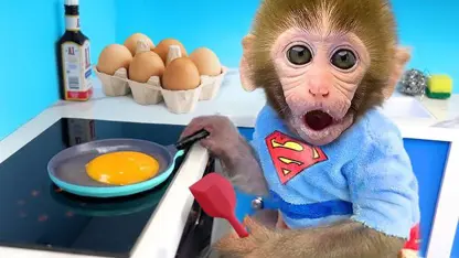 برنامه کودک بچه میمون - صندوقدار سوپرمارکت برای سرگرمی