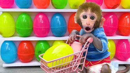 برنامه کودک بچه میمون - تخم مرغ رنگین کمان برای سرگرمی